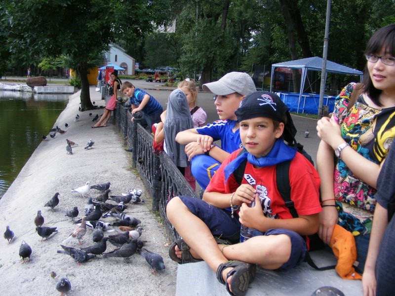 Feeding birds